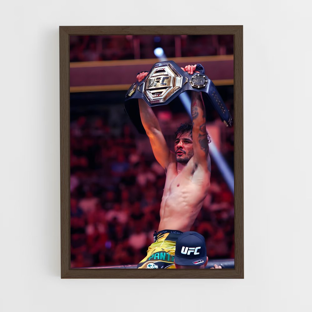 Poster Champion de Rêve – affiche MMA (vue 5)